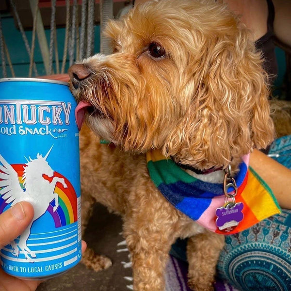 MONTUCKY COLD SNACKS RAINBOW CAN/ モンタッキーコールドスナックス